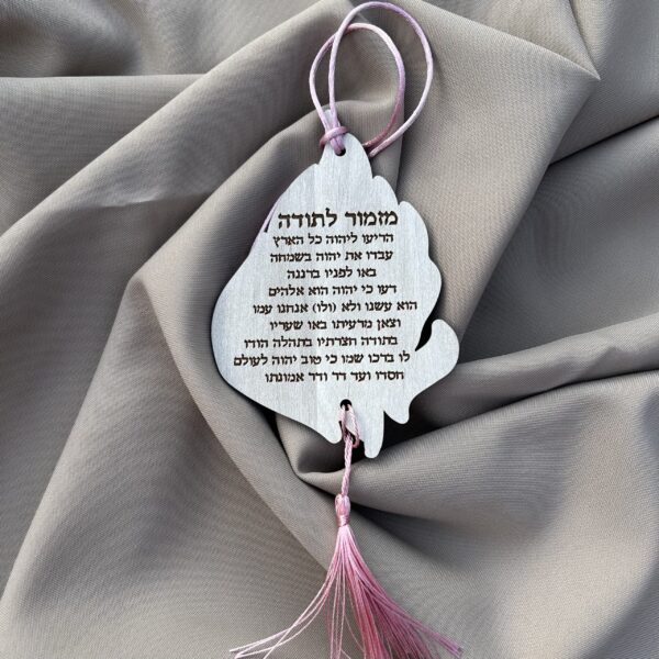 תליון לרכב דו צדדי האש שלי- מזמור לתודה
עץ ורוד גולד - Image 2